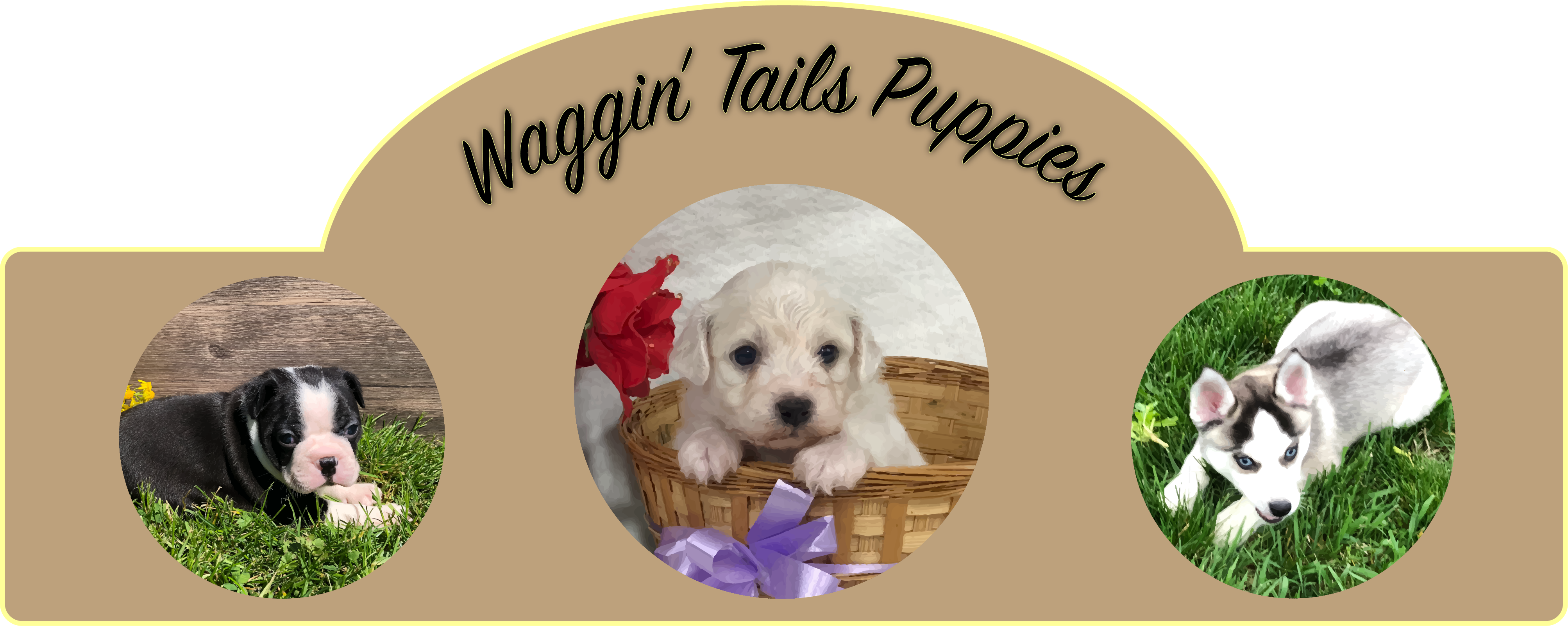 Waggin Tails Puppies